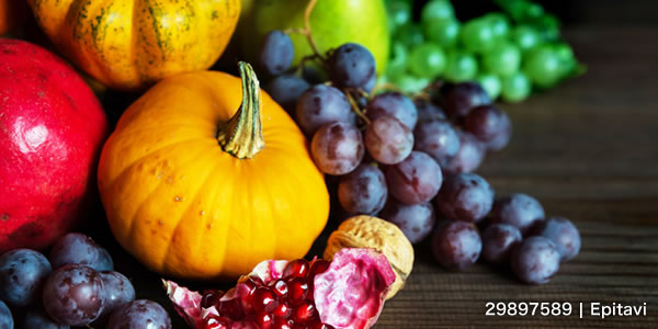 Rich harvest of various fruits and vegetables