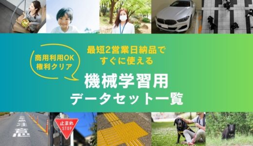 好評販売中！機械学習用画像・動画データセット一覧